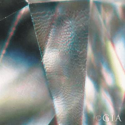 Diamond lizard skin magnified