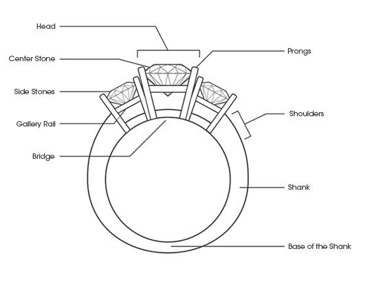 Ring shank diagram